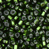 Silver Lined - Olive Green, Matsuno 6/0 Seed Beads